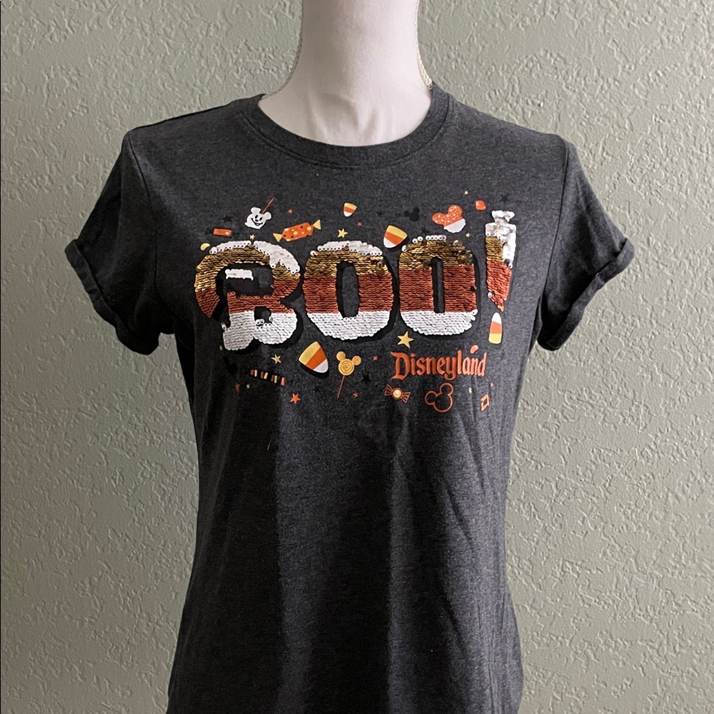 Disneyland Women's Gray Short Sleeve Tee